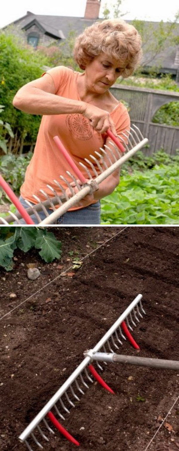 31 Creative Gardening Ideas You Need To Know