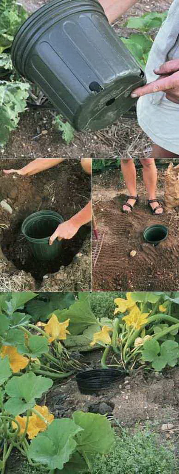 31 Creative Gardening Ideas You Need To Know