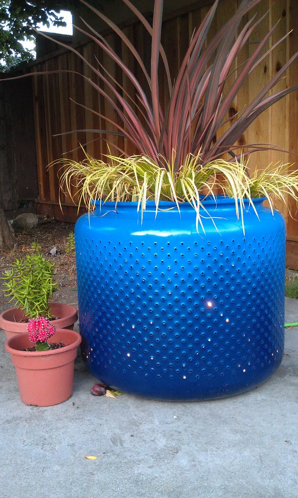 20 Great Ideas for Creative Gardening Using Containers You Never Thought of
