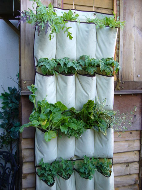 15 DIY Ideas To Make Your Garden The Best It Can Be
