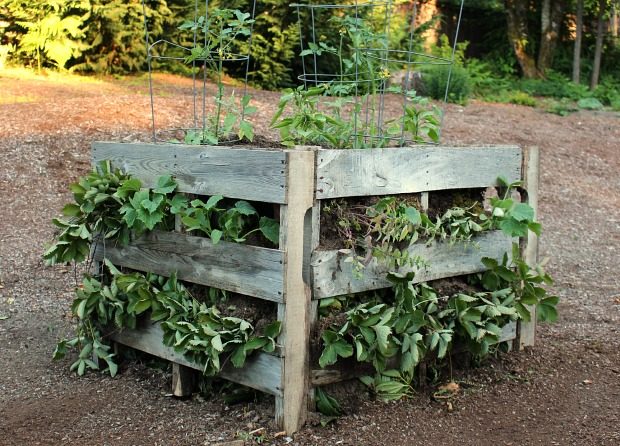 15 Creative Ways To Use Pallets In Your Garden