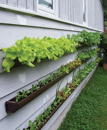 16 Genius Tips For Gardening In Small Spaces