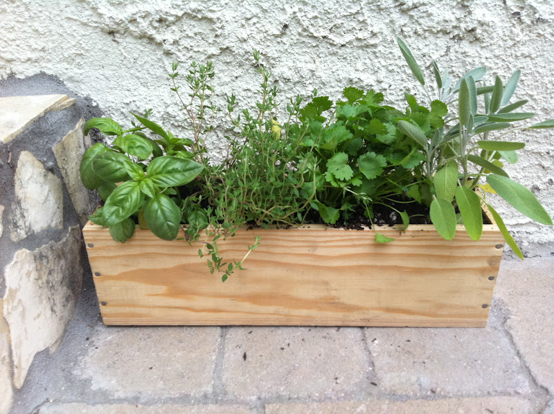 Gardening Without A Garden: 12 Clever Ideas For Your Patio Or Balcony