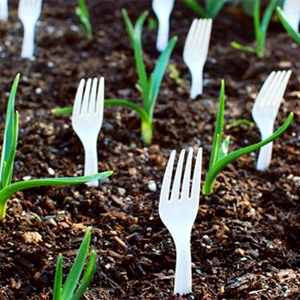 10 Clever Gardening Tips and Tricks for Beginners