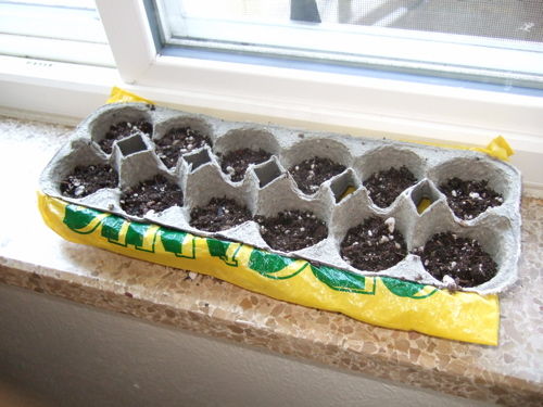 10 Homemade Seed Starter Pots