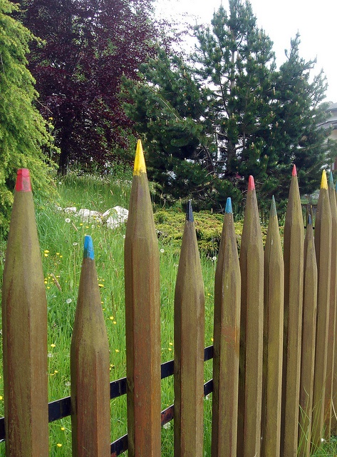 10 Unique and Creative DIY Fence Design Ideas