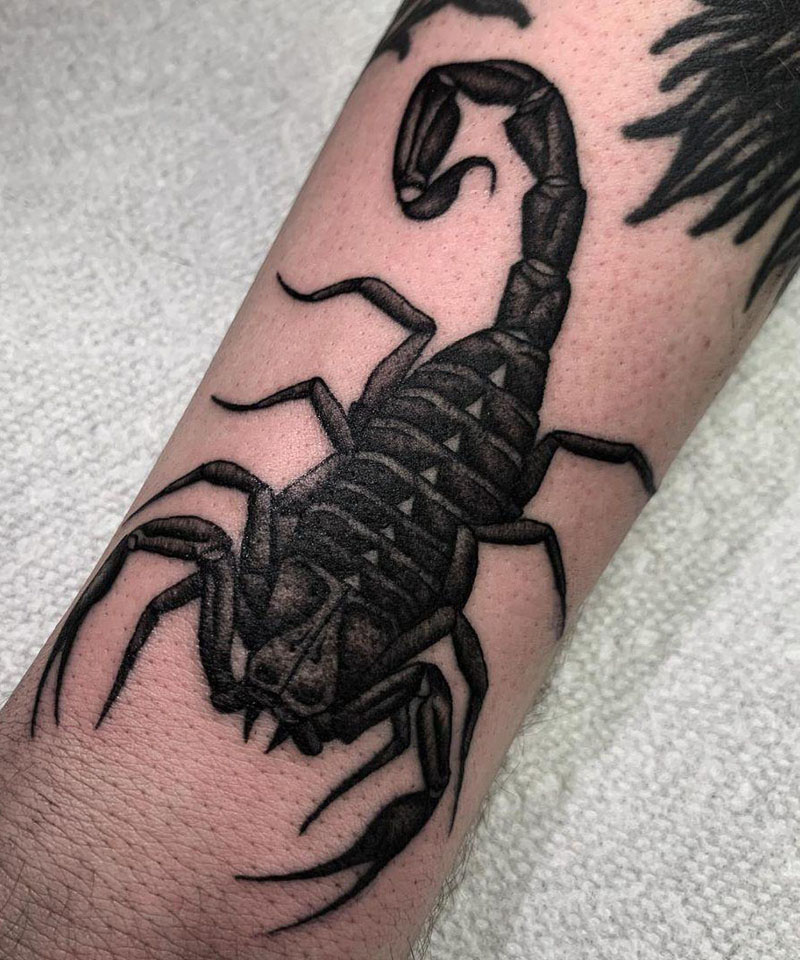 30 Pretty Scorpion Tattoos You Can Copy
