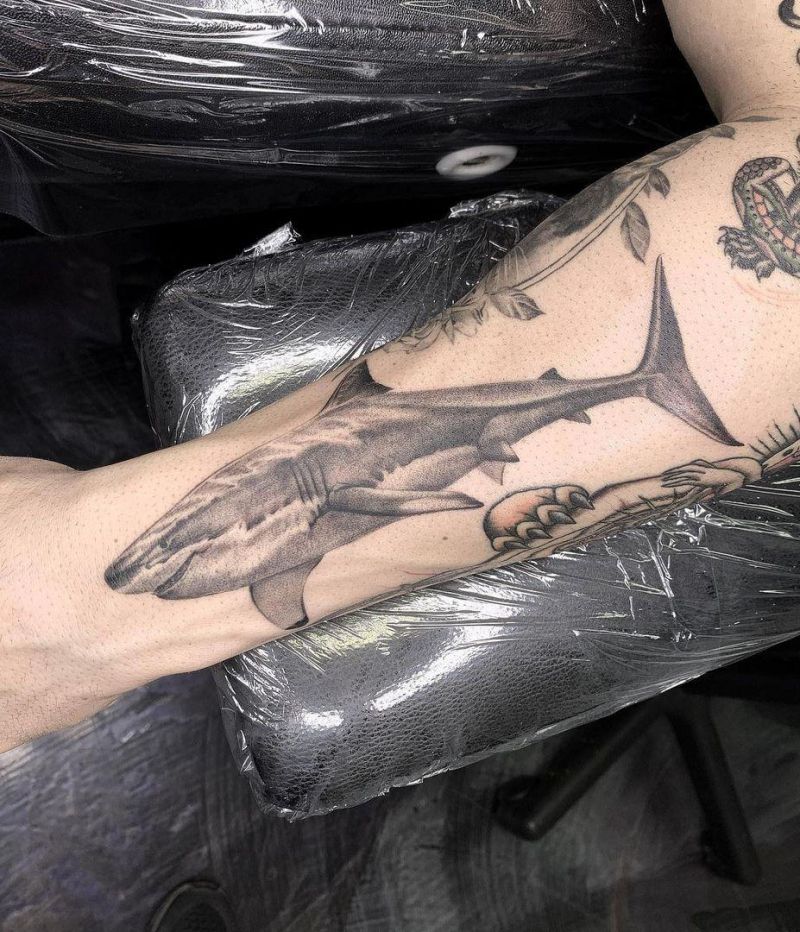 30 Gorgeous Shark Tattoos You Will Love