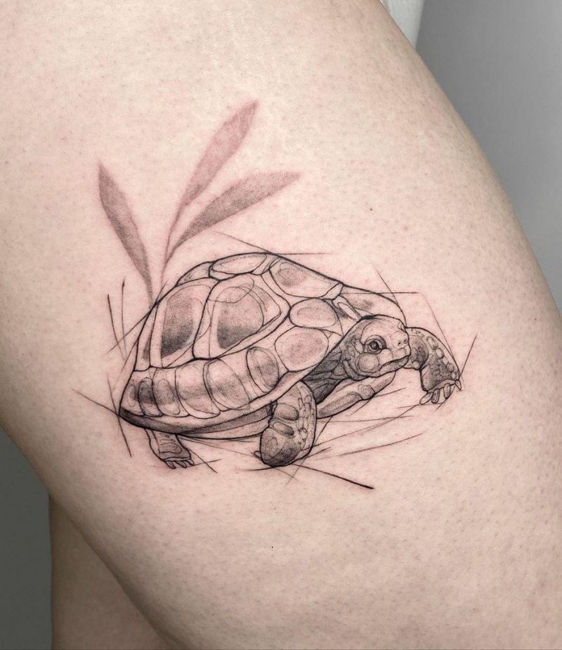 20 Amazing Tortoise Tattoos Give You Inspiration