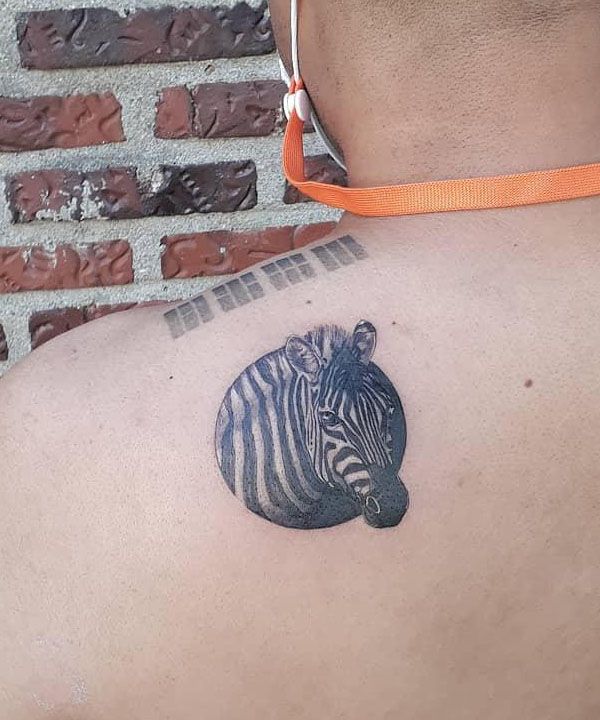 20 Trendy Zebra Tattoos Give You Inspiration