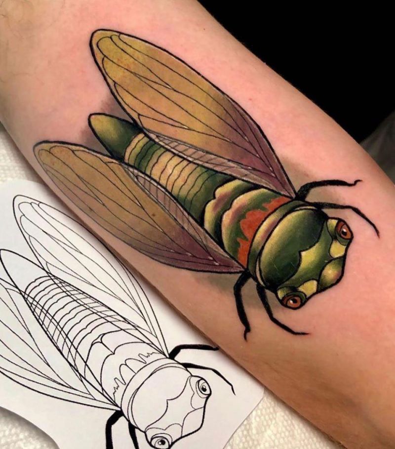 20 Best Cicada Tattoos For Your Next Ink