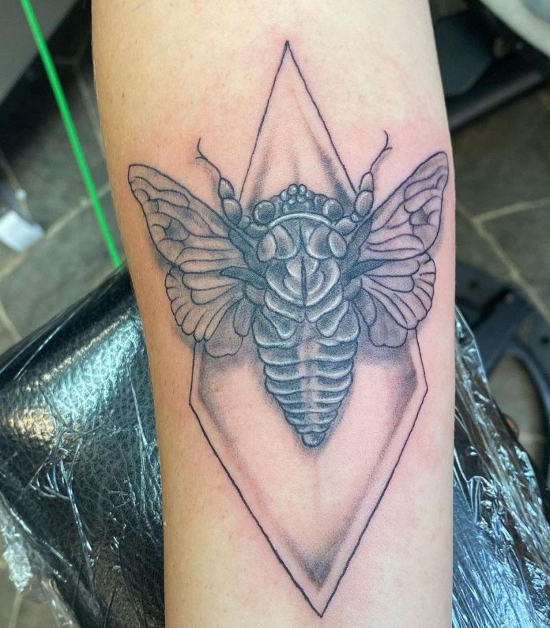 20 Best Cicada Tattoos For Your Next Ink