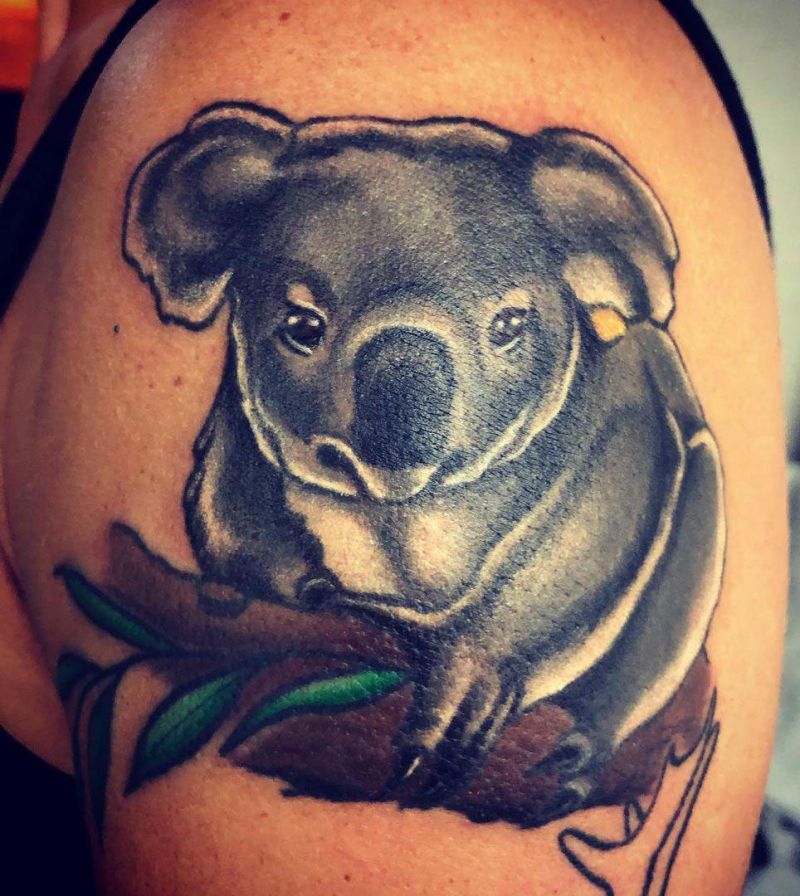20 Best Koala Tattoos You Shouldn’t Miss