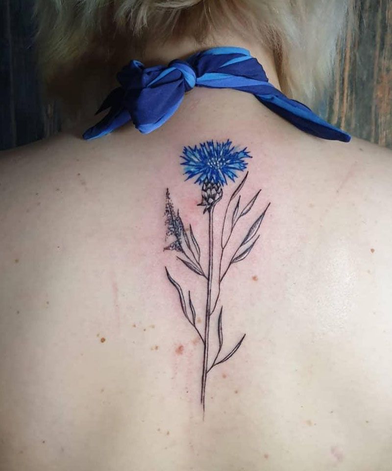 20 Amazing Cornflower Tattoos You Can Copy