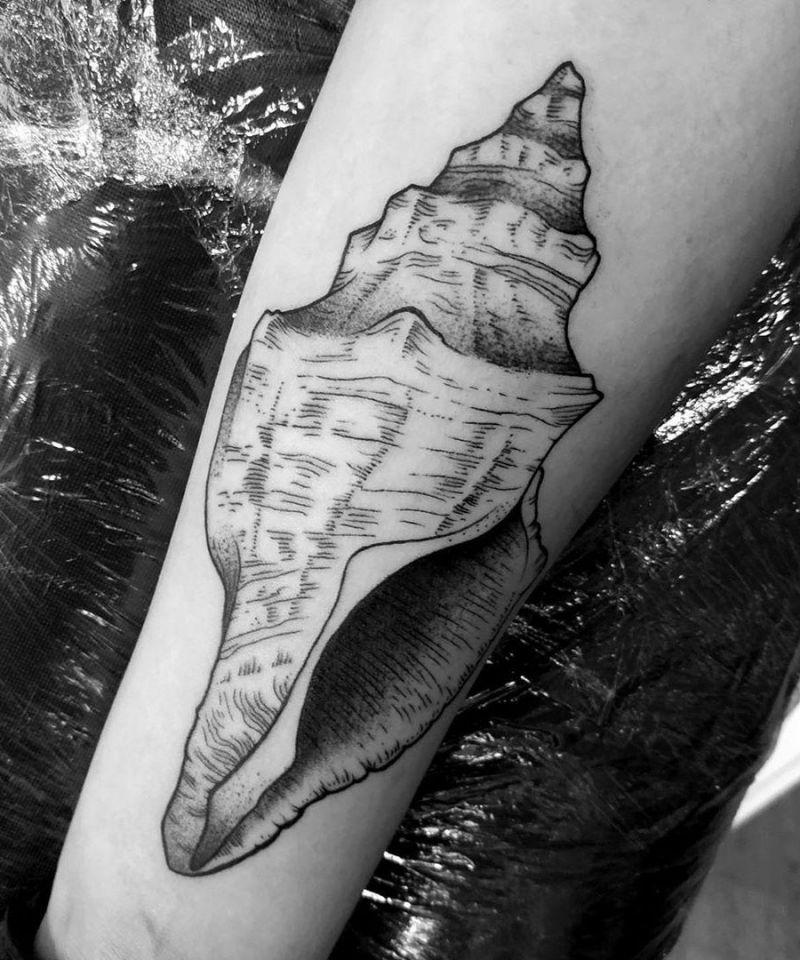 20 Awesome Conch Tattoos For Your Next Ink