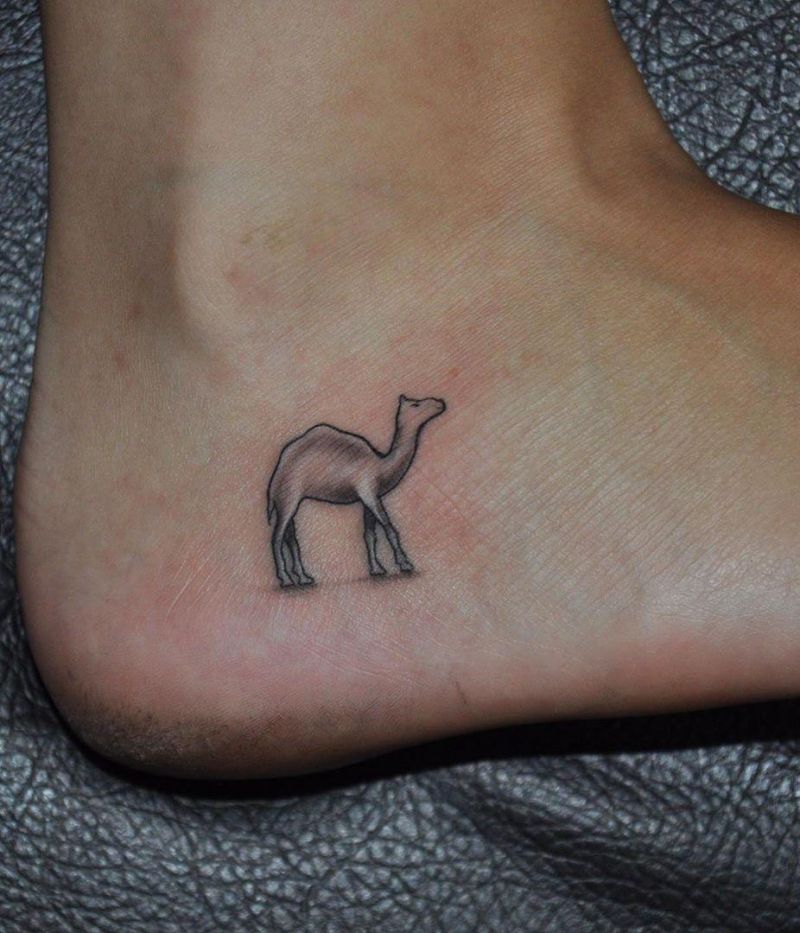 20 Excellent Camel Tattoos You Must Love
